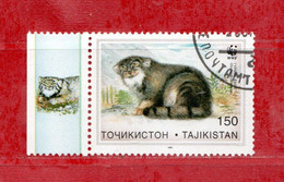 TADJIKISTAN° - 1996 - Faune CHATS SAUVAGES . Yv. 88 Oblitérér - Tajikistan