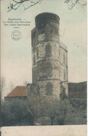 Rupelmonde - La Vieille Tour Historique - Den Ouden Historischen Toren - 1919 - Kruibeke