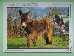 CARTE MAXIMUM CARD LE BAUDET DU POITOU OPJ POITIERS FRANCE - Donkeys
