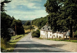 Saint Hubert   Foret De St Hubert - Saint-Hubert