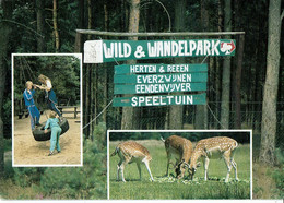 Houthalen Molenheide Wild En Wandelpark - Houthalen-Helchteren