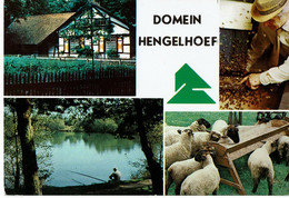 Houthalen  Hengelhoef - Houthalen-Helchteren