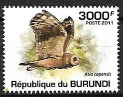 Burundi - MNH ** 2011 :   Marsh Owl  - Asio Capensis - Hiboux & Chouettes