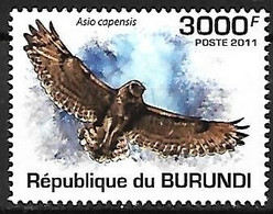 Burundi - MNH ** 2011 :  Marsh Owl  -  Asio Capensis - Hiboux & Chouettes