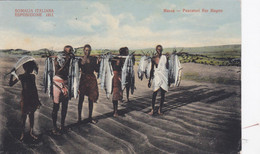 Somalia Italiana Esposizione Internazionale 1911 - Somalia