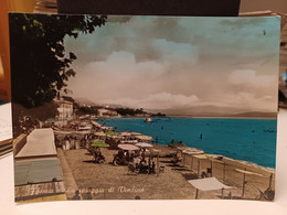 Cartolina Formia Prov Latina   La Spiaggia Di Vendicio 1958 - Latina