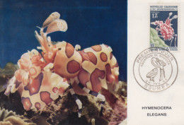 Carte  Maximum  1er Jour   NOUVELLE CALEDONIE   Aquarium  De  NOUMEA   1964 - Tarjetas – Máxima