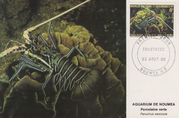 Carte  Maximum  1er  Jour   NOUVELLE CALEDONIE   Aquarium  De  NOUMEA   Crustacés   1980 - Tarjetas – Máxima