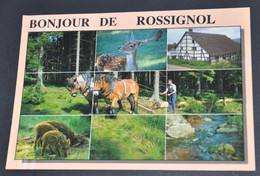 Bonjour De Rossignol - Editons Lander, Eupen - Tintigny