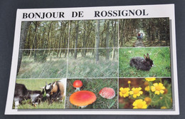 Bonjour De Rossignol - Editons Lander, Eupen - Tintigny