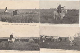 CAMARGUE MANADE DE L'AMAREE TAUREAUX GARDIAN CABERN JUMENT...4 Cpa - Provence-Alpes-Côte D'Azur