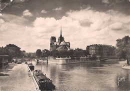 FRANCE - PARIS - LA CITÉ - NOTRE DAME. - Ile-de-France