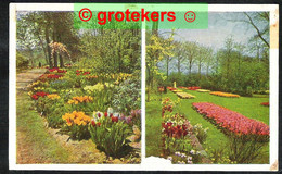 LISSE Keukenhof 1956 Met Reclamehandstempel (van De Wart 30(6) - Lisse