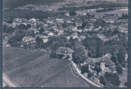 Begnins VD Vu D'avion , Village Et Vignes (12765) 10x15 - Begnins