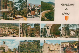 Cpsm 66 Panorama De Céret - Ceret