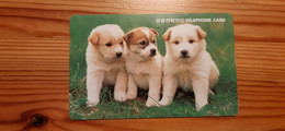 Phonecard South Korea - Dog - Corée Du Sud