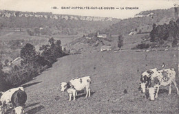 SAINT-HYPPOLITE SUR LE DOUBS - La Chapelle - Vaches - Saint Hippolyte