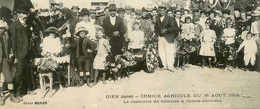 Gien * Attelage à Chien , Comice Agricole Du 16 Aout 1908 * Le Concours De Voitures à Chiens Décorées - Gien