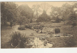 CPA-BRUXELLES " Jardin Botanique De L'Etat - Bossen, Parken, Tuinen