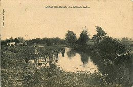 Tornay * Vue Sur La Vallée Du Saulon * Lavoir Laveuses - Otros & Sin Clasificación