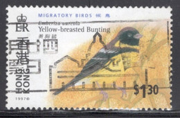 Hong Kong 1997 A Single Stamp From The Set To Celebrate Birds In Fine Used. - Usati