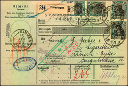 1920, Auslands-Paketkarte Aus TROSSINGEN Mit Germania Einheiten - Brieven En Documenten