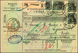 1920, Auslands-Paketkarte Aus TROSSINGEN Mit Germania Einheiten - Lettres & Documents