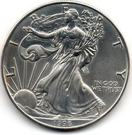 1996 - Stati Uniti 1 Dollar Argento  - Oncia Eagle      ---- - Commemorative