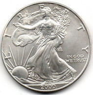 2000 - Stati Uniti 1 Dollar Argento  - Oncia Eagle      ---- - Commemorative