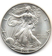 2002 - Stati Uniti 1 Dollar Argento  - Oncia Eagle      ---- - Commemorative