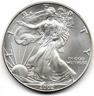 2002 - Stati Uniti 1 Dollar Argento  - Oncia Eagle      ---- - Herdenking