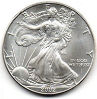 2002 - Stati Uniti 1 Dollar Argento  - Oncia Eagle      ---- - Conmemorativas