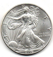 2002 - Stati Uniti 1 Dollar Argento  - Oncia Eagle      ---- - Conmemorativas