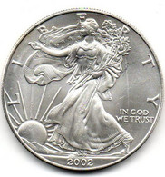 2002 - Stati Uniti 1 Dollar Argento  - Oncia Eagle      ---- - Commemorative