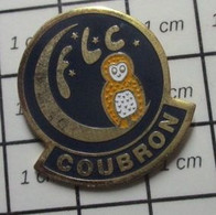 510A Pin's Pins / Beau Et Rare / ANIMAUX / OISEAU CHOUETTE HIBOU FLC COUBRON - Animaux