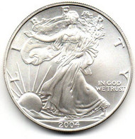 2004 - Stati Uniti 1 Dollar Argento  - Oncia Eagle      ---- - Commemorative