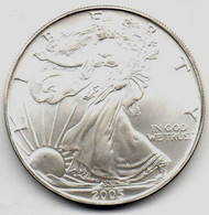 2005 - Stati Uniti 1 Dollar Argento  - Oncia Eagle      ---- - Herdenking