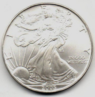 2005 - Stati Uniti 1 Dollar Argento  - Oncia Eagle      ---- - Commemorative
