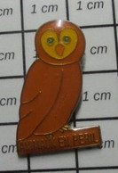 510A Pin's Pins / Beau Et Rare / ANIMAUX / OISEAU CHOUETTE HIBOU MARRON ANIAMUX EN PERIL - Animaux