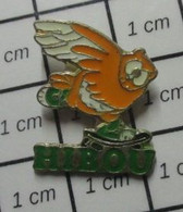 510A Pin's Pins / Beau Et Rare / ANIMAUX / OISEAU CHOUETTE HIBOU SUR SKATE-BOARD - Animaux