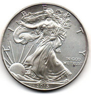 2013 - Stati Uniti 1 Dollar Argento  - Oncia Eagle      ---- - Gedenkmünzen