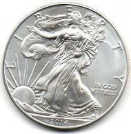 2014 - Stati Uniti 1 Dollar Argento  - Oncia Eagle      ---- - Commemorative