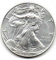 2021 - Stati Uniti 1 Dollar Argento  - Oncia Eagle      ---- - Commemoratifs