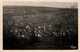 Santenay Les Bains * Vue Générale Sur Le Village - Andere & Zonder Classificatie