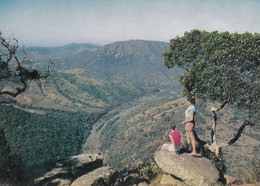 FLY By South African Airways Airline Issue Postcard - Oribi Gorge - 1946-....: Era Moderna