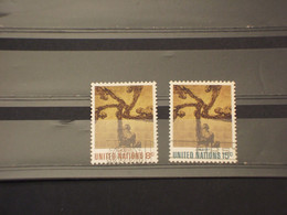NAZIONI UNITE - NEW YORK - 1972 ARTE/QUADRI 2 VALORI - TIMBRATI/USED - Used Stamps