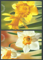 Canada B.O.B. # UX153-UX154 Unused Postal Card - Daffodils - Enteros Postales Del Correo