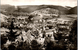 40402 - Deutschland - Steinach I. Thür. , Panorama - Gelaufen - Sonneberg