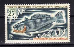 TAAF Antarctique Francais FSAT 1971 Poisson Fish  Yv 37 MNH ** - Neufs