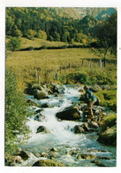 Pêche--1971--L'Auvergne ..Paradis Des Pêcheurs De Truites - Fishing